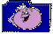 Squiddly Diddly